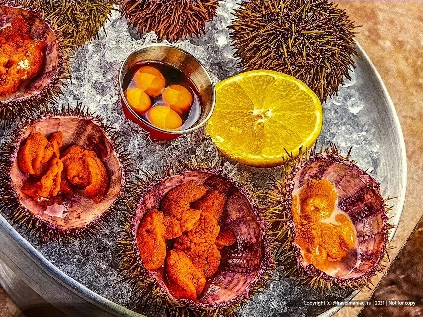 морской еж сашими. урчин морской еж. морской еж деликатес. морской еж деликатес. морской еж афродизиак.