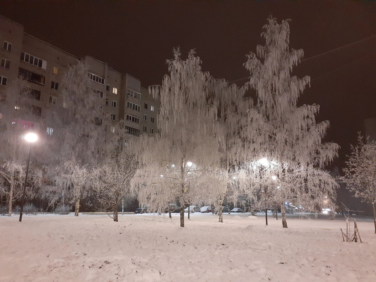 деревья возле енисея в мороз. прилагательное украшают и нашу речь. зимой в лесу предложения. трескучие морозы у кормушки. зимний двор для презентации для детей.