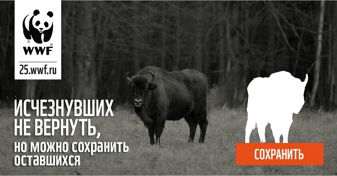 сохранить работу. сохраним что осталось. экология и мы надпись. сохраним что осталось. вымирающие животные плакат.