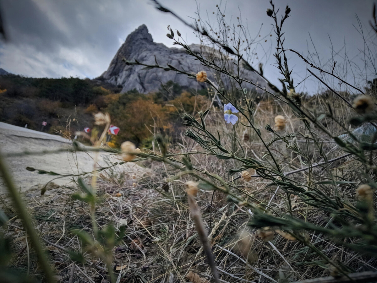 Осень в Крыму дзен