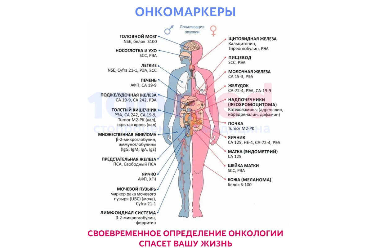 Онкомаркеры са расшифровка. Онкомаркеры картинка. Онкомаркер 125 16 единиц после удаления яичников и матки.