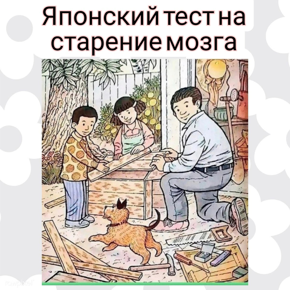 Японский тест на старение мозга картинка ответы змея сапог кукушка ответы на тест