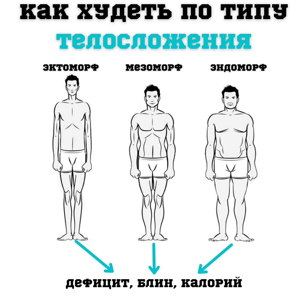 Телосложение. Виды телосложения. Три вида телосложения. 3 Типа телосложения. Как определить Тип телосложения у мужчин.