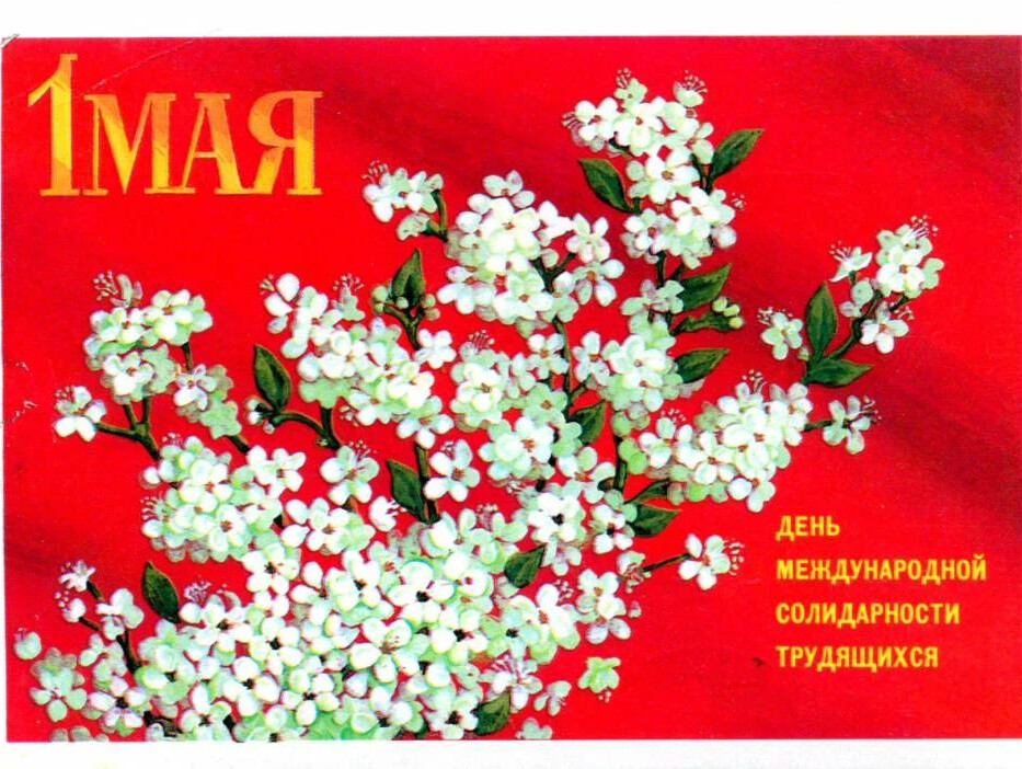 День солидарности трудящихся картинки