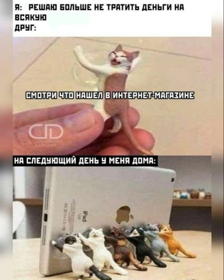 Видео мемы популярные смешные