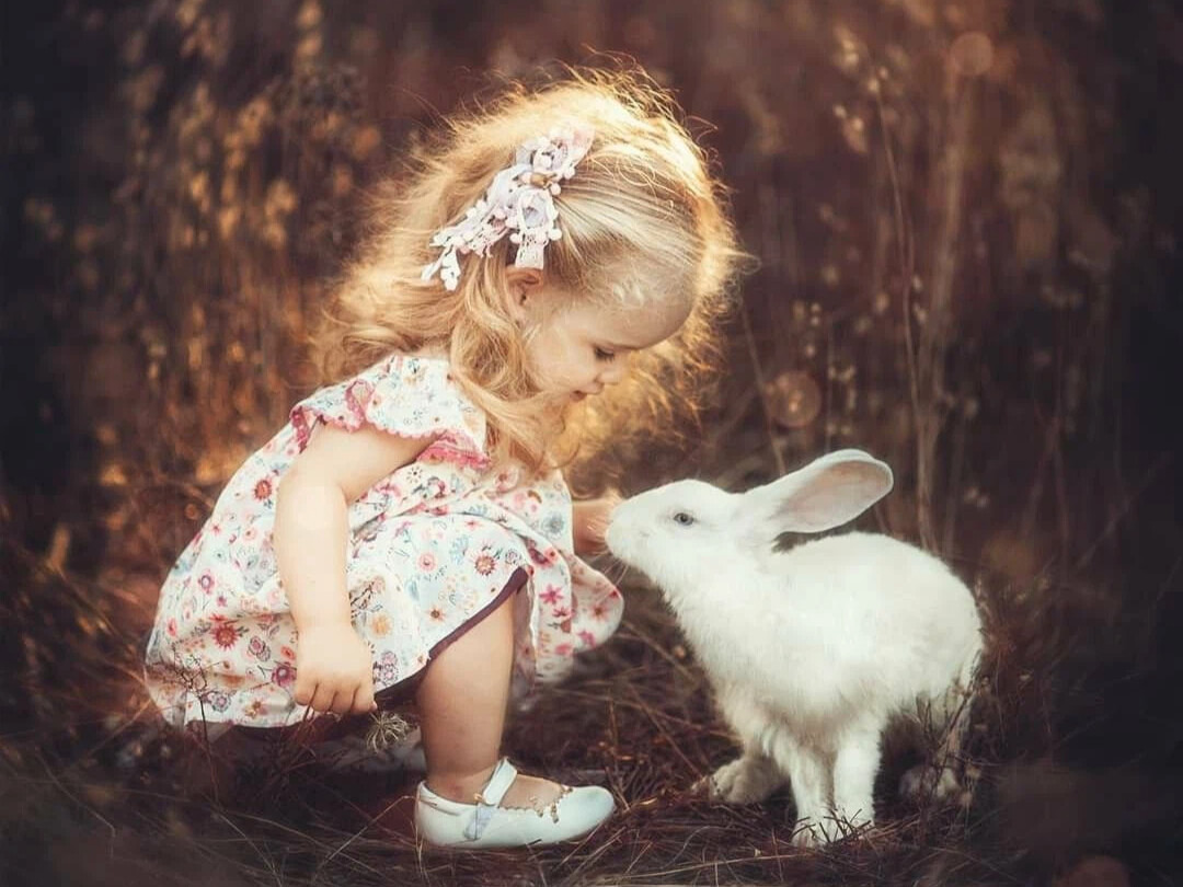 Девушка в солнечных лучах. Солнечная девочка. Аниме девушки милые. Картина с одуванчиками в современном стиле. Солнечный зайчик цветок.