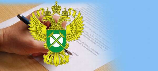 Фас картинки для презентации