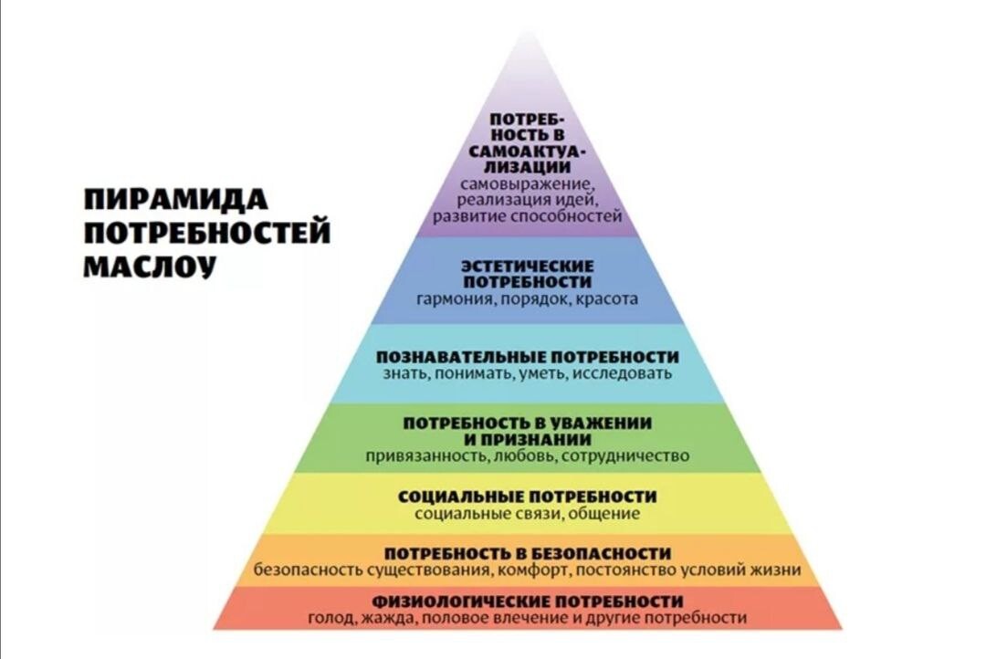 К низшим потребностям относятся