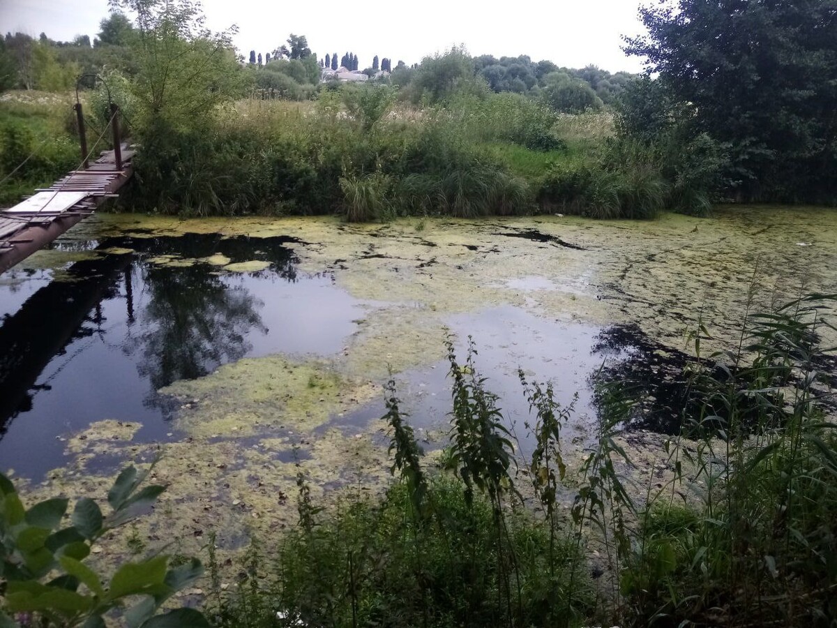 река воронеж до водохранилища