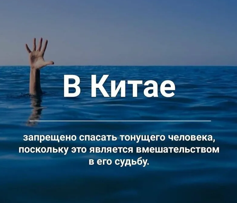 Факт того что она не. Интересные факты. Факты о человеке. Смешные факты. Интересные факты о Челве.