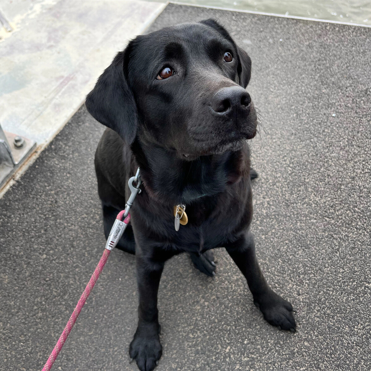 Этот невинный взгляд в очередной раз ввел меня вчера в заблуждение и ...