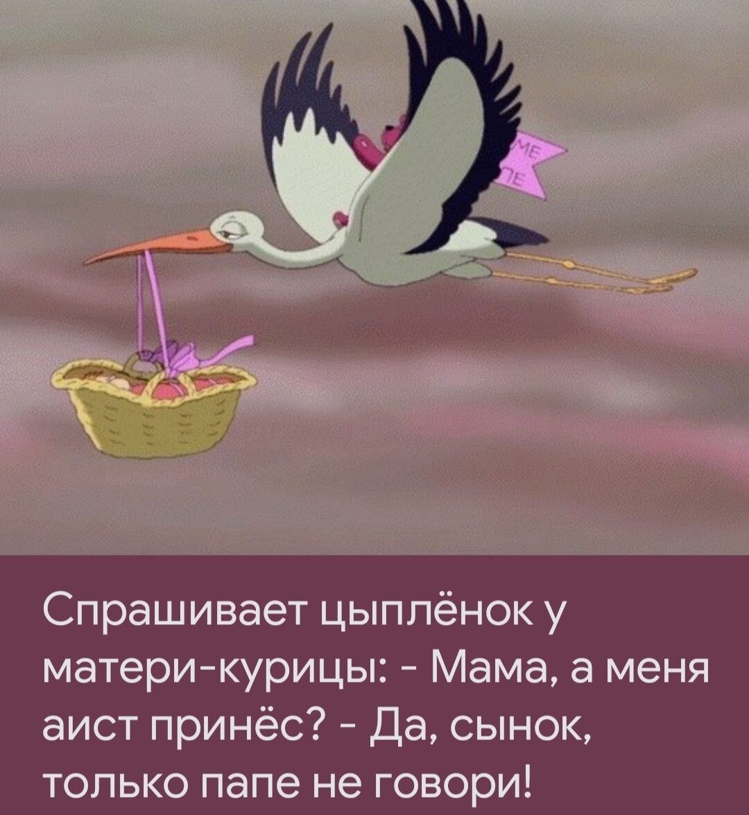 Аист несет малыша картинки