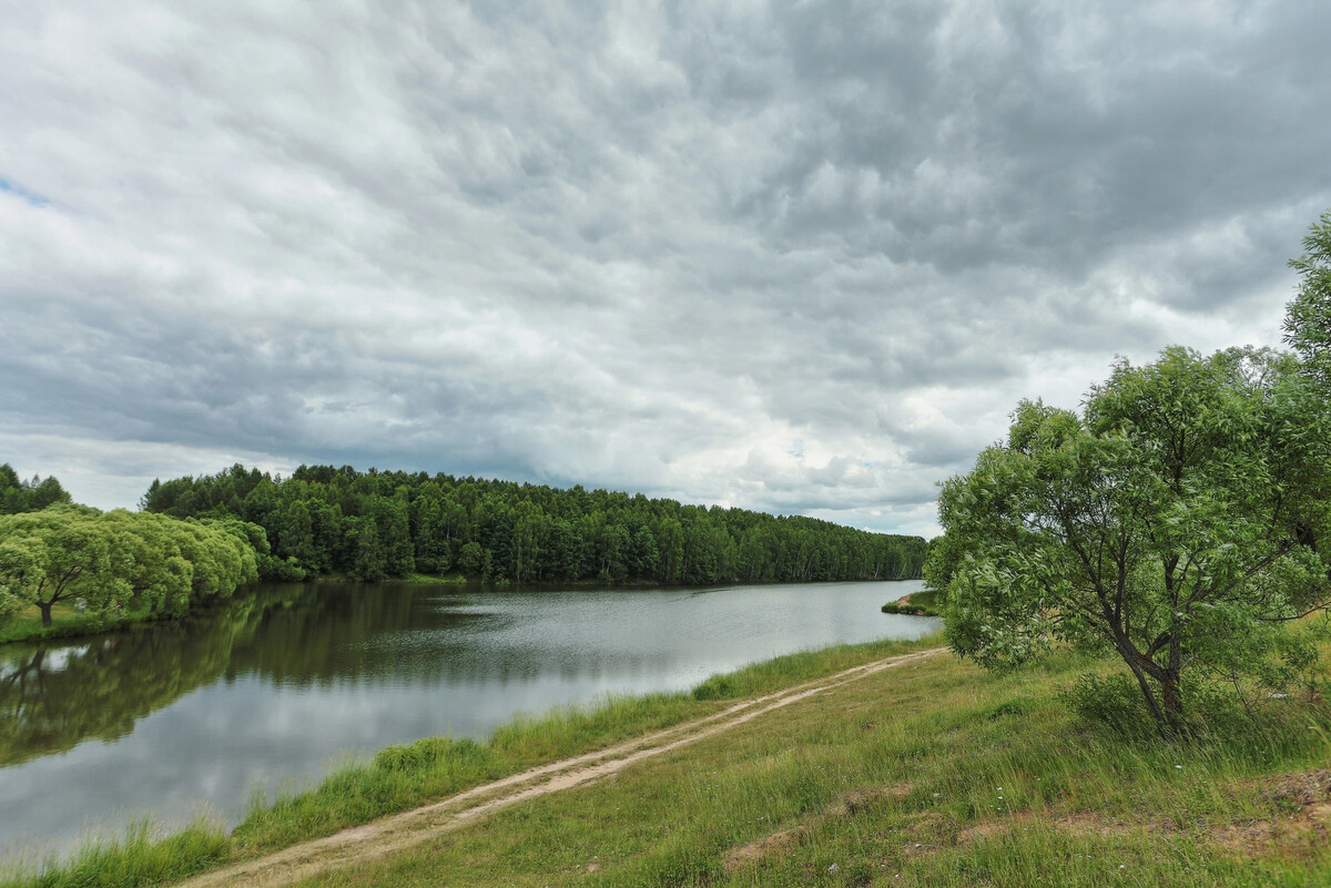 Пруды пензенском районе. Пруд в деревне. Безымяный водоём в посёлке. Пруд Никольский Малахова. Старая деревня.