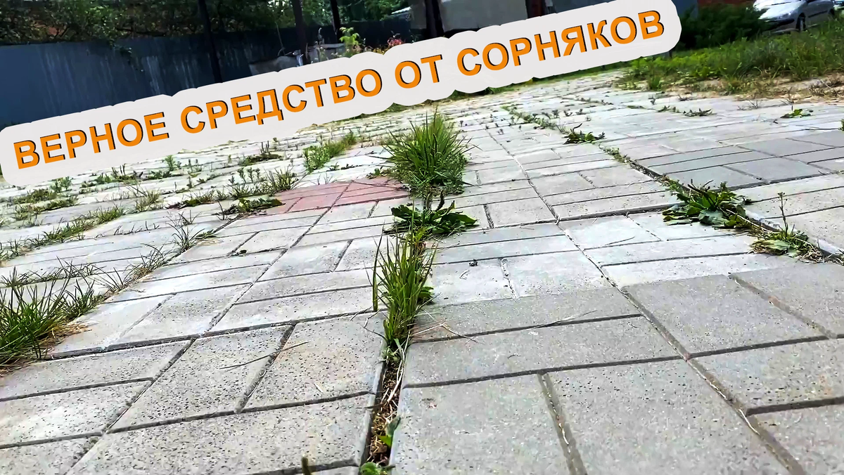 Народное средство от сорняков. Снайпер от сорняков. Народное средство от сорняков на огороде с уксусом и моющим средством. Средство от сорняков в светофоре. Средство от сорняков из уксуса и соли моющего средства.