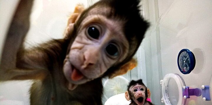 lazy_smart_crop_720x356