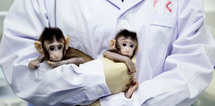 lazy_smart_crop_720x356