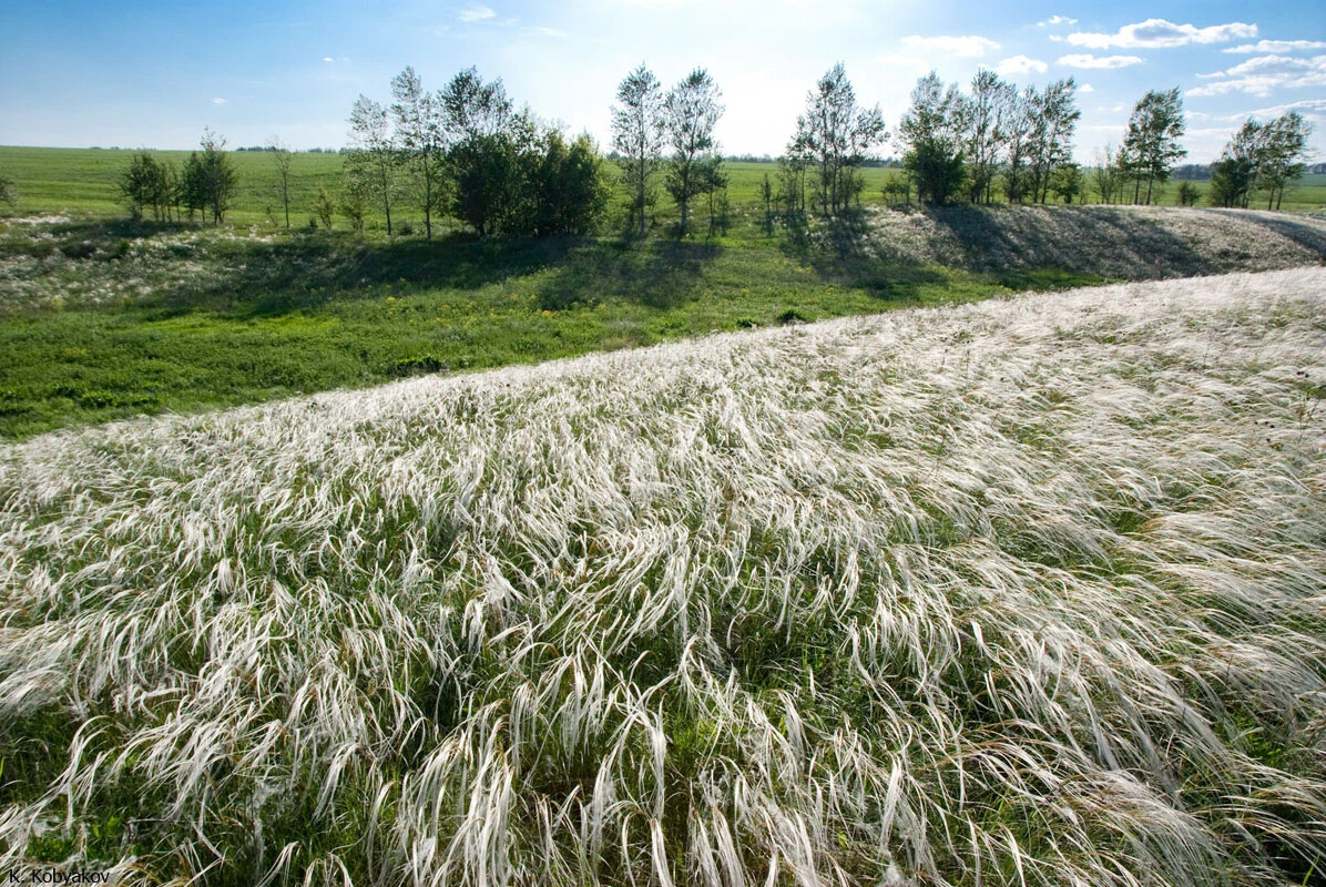 Фотографии заповедника алехина