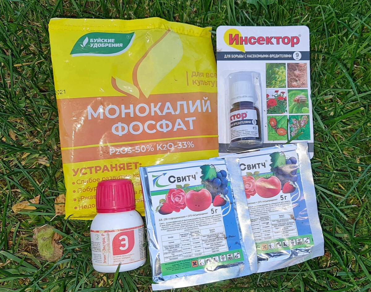 Фунгицид для роз осенью под зиму