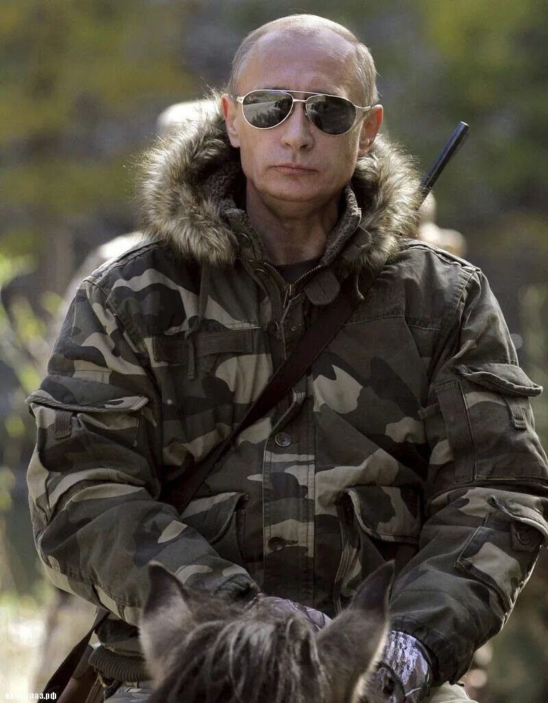https://avatars.dzeninfra.ru/get-zen_brief/5410458/pub_633f4f7a7000b82af412aac5_633f50617000b82af412aad8/scale_1200