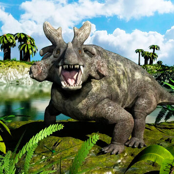 lazy_smart_crop_356x356