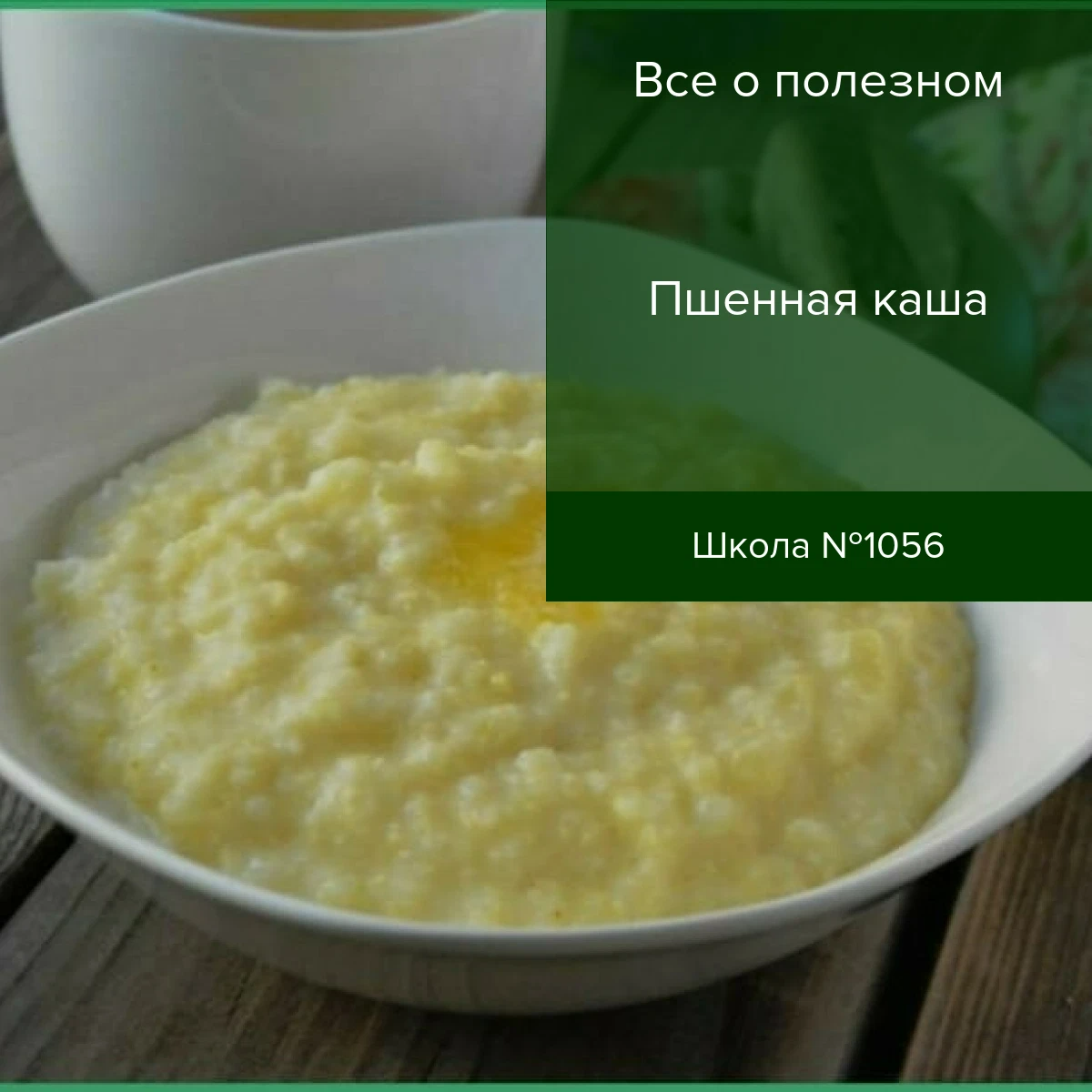 Каша из пшена польза