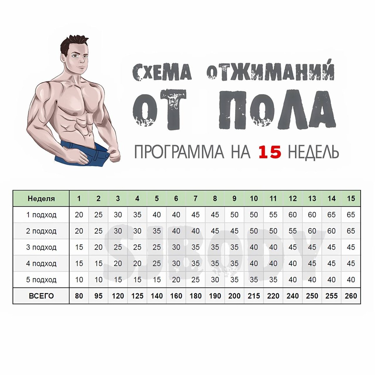 Sjbody. Программа увеличения отжиманий. SJBODY программа тренировок. Тренировки SJBODY.