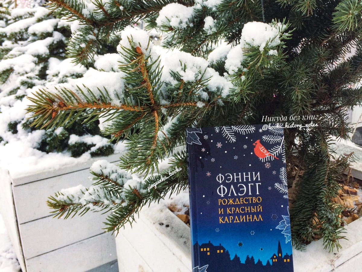 фэнни флэгг рождество. рождество и красный кардинал фэнни. рождество и красный кардинал фэнни флэгг книга. аудиокнига рождество и кардинал. флэгг рождество и красный кардинал.