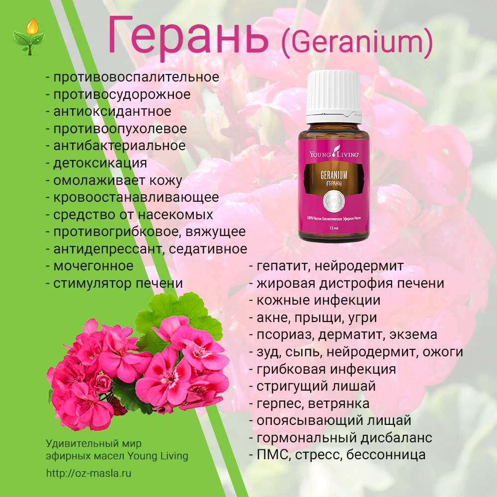 Герань таблетки. Эфирное масло Geranium. Герань эфирное масло ДОТЕРРА. Масло герани для лица. Масло герань для лица косметический.