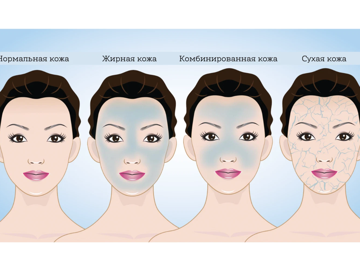 3 типа кожи лица. Типы кожи. Разные типы кожи. Типы кожи лица. Типы кожи Эстетика.