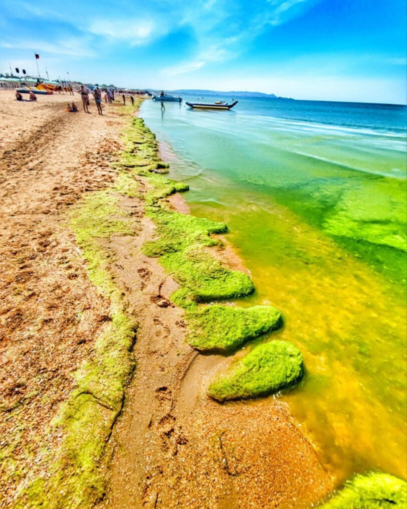 анапа витязево море пляж