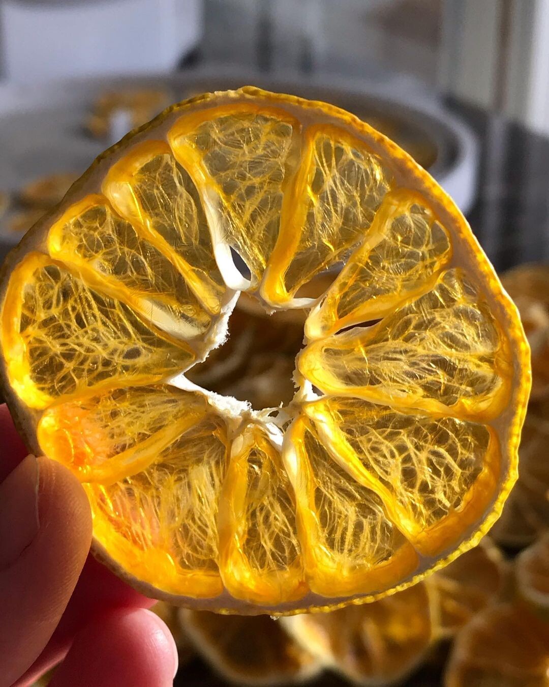 Апельсин сушеный. Апельсин в дегидраторе. Апельсин сушеный. Дольки апельсина для декора. Сушеные апельсины для декора.