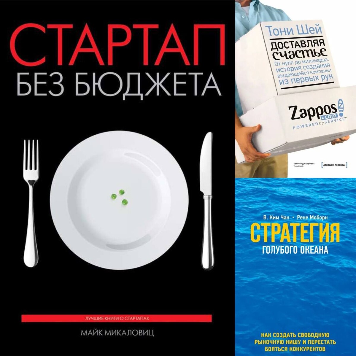 Микаловиц стартап без бюджета. Стартап без бюджета майк микаловиц. стартап без бюджета майк. книга м. микаловиц стартап без бюджета купить в москве читай город.