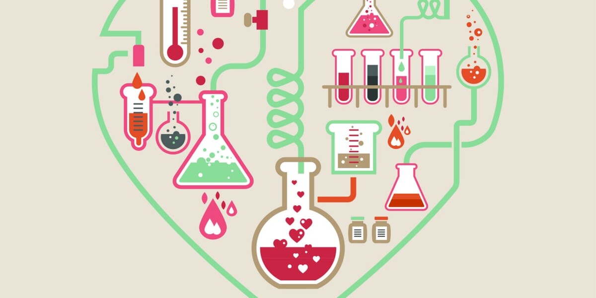 Химия любви проект по психологии