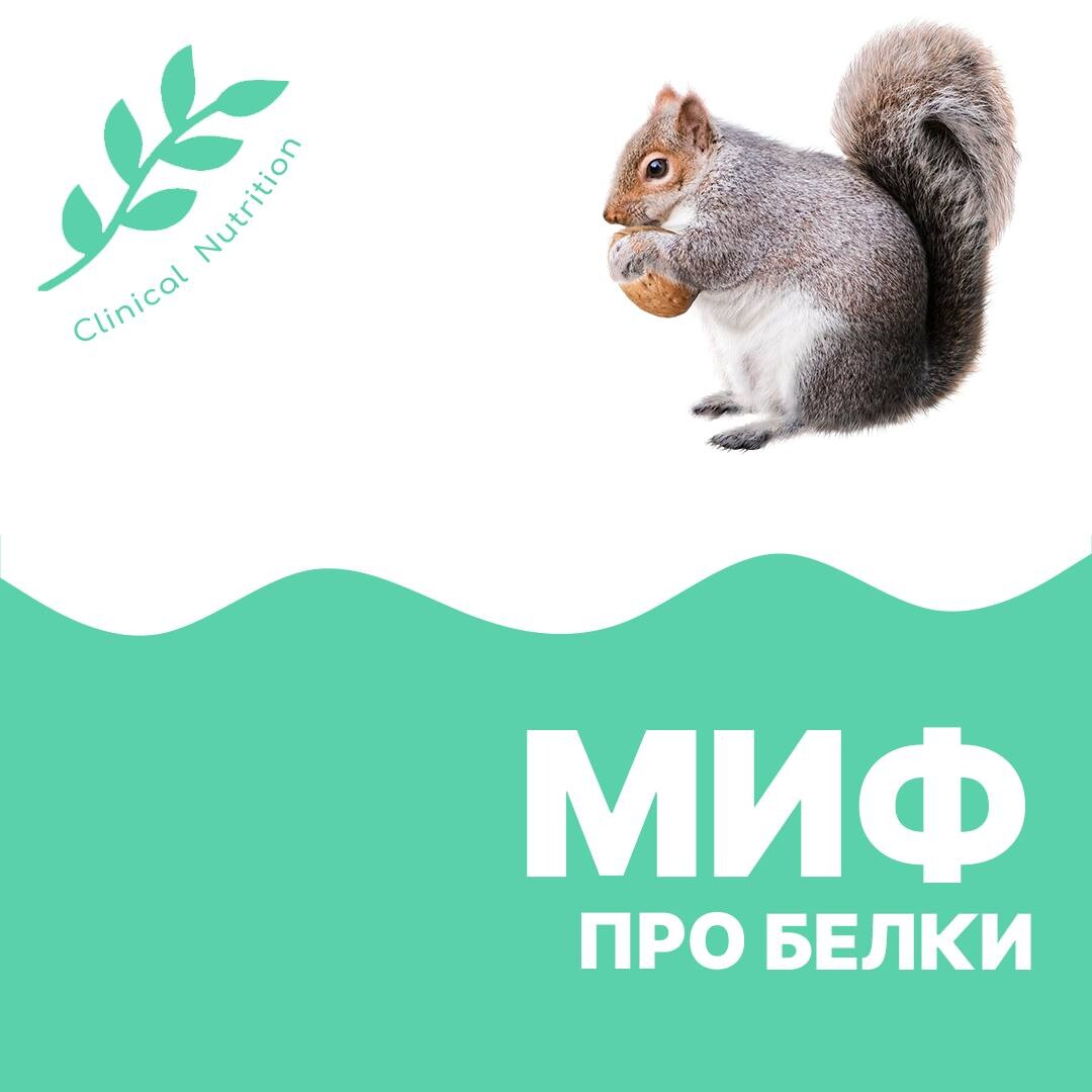 Правда и мифы о белковой пище. Белки продукты. Интересные факты о тренировках. Пп мифы и реальность. Спортивное питание.