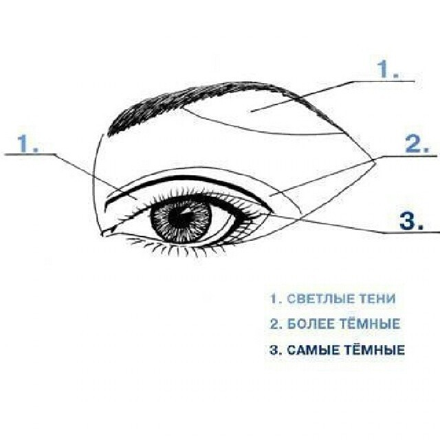 Правильно глаза. Макияж глаз схема нанесения теней. Классическая схема нанесения теней. Схема наложения теней на глаза. Горизонтальная схема нанесения теней.