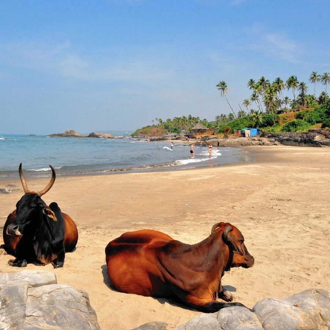 Лучшие пляжи Индии
