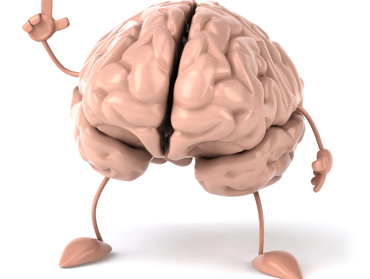 Что будет если съесть мозг. Мозган. Мозг тренируется. Здоровье мозга визуализация.