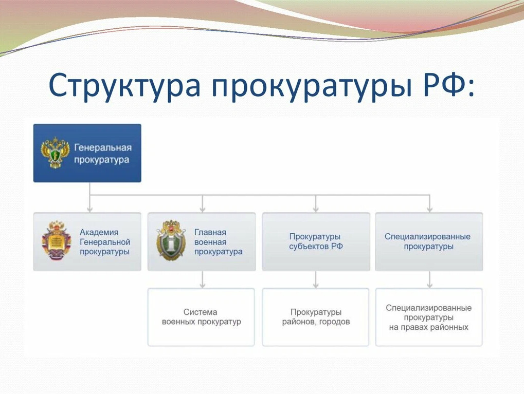 Схема органов прокуратуры рф без учета органов следственного комитета