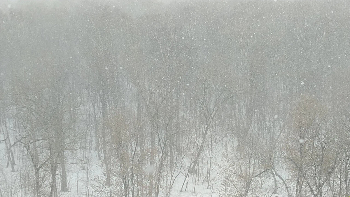 снежные заносы в москве. снегопад в москве 13 февраля 2021. сильный снегопад в москве 2021. апрельский снегопад. москва снегопад 2021.