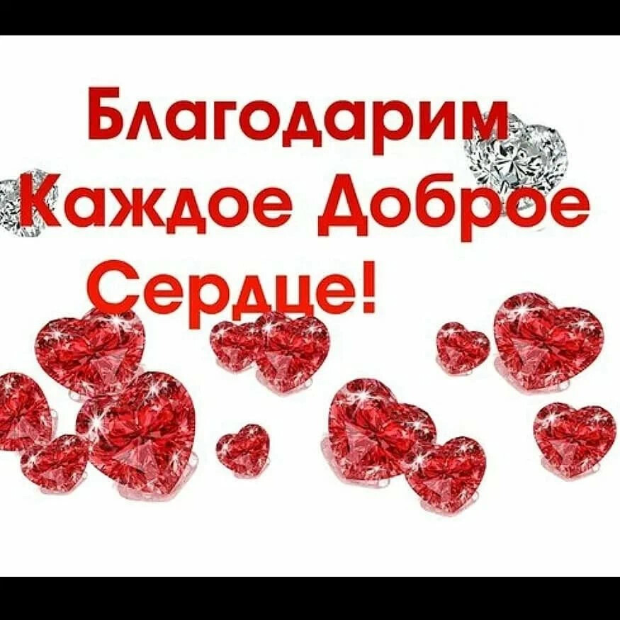 Каждому сердце дано. Спасибо за ваше доброе сердце. Спасибо за ваше доброе се. Благодарю за ваше доброе сердце. Спасибо большое за доброе сердце