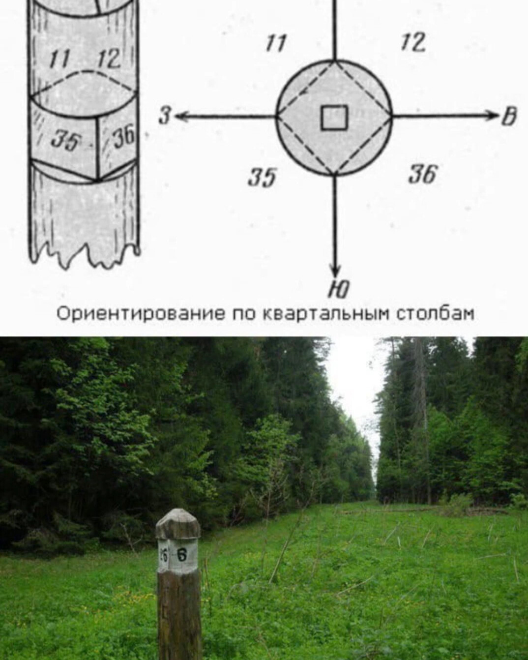 Ориентирование по квартальным столбам