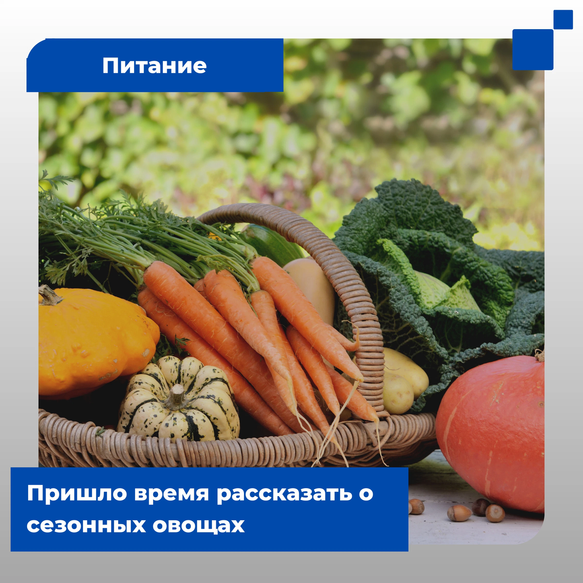 Питание приходит. Семена Антон овощи.