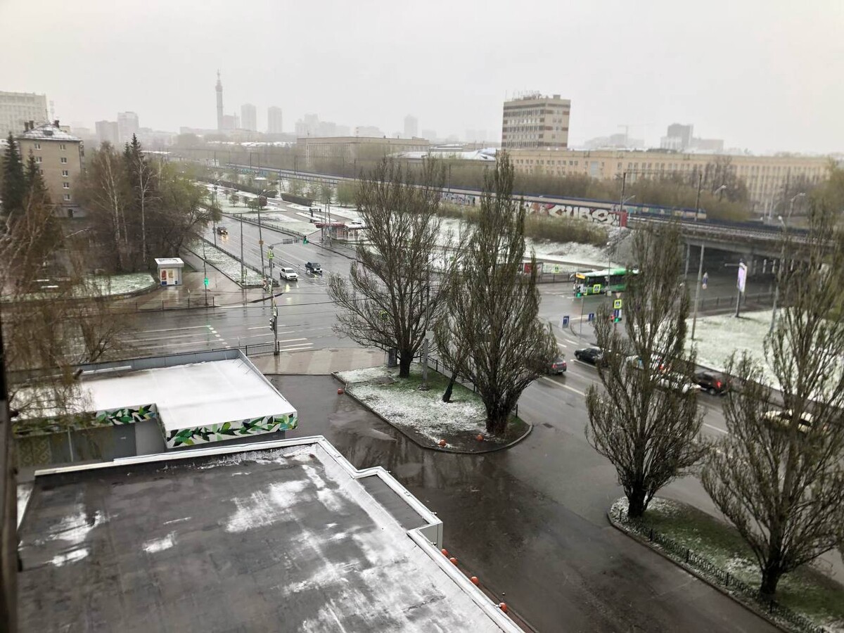 в мае выпадет снег. в мае выпадет снег. растения под снегом.