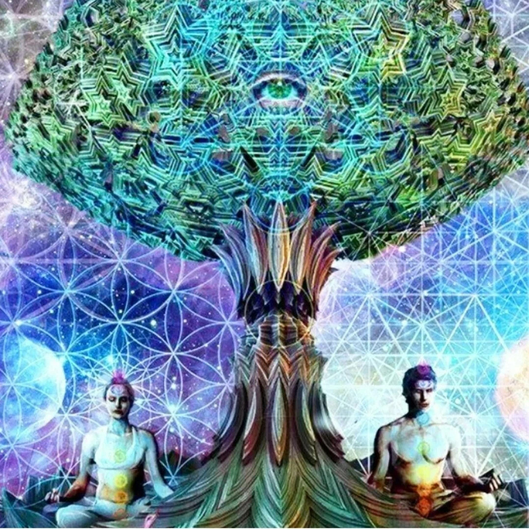 медитация кутхуми. дерево рода эзотерика. душа человека. исцеляющие медитации ливанда. сознание человека.