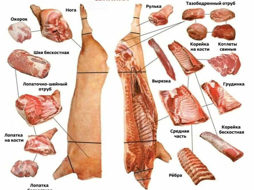 Свиная туша части фото