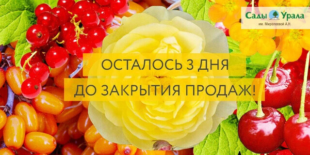 Сады урала осень 2024. Сады Урала.