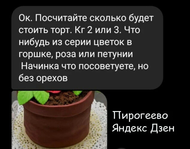 Пирогеево дзен канал. Торт Демиду Пирогеево дзен. Горшочки для растений Пинтерест.