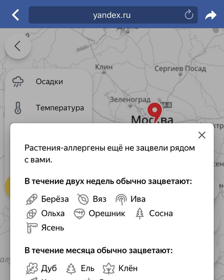 Пыльца в москве мониторинг