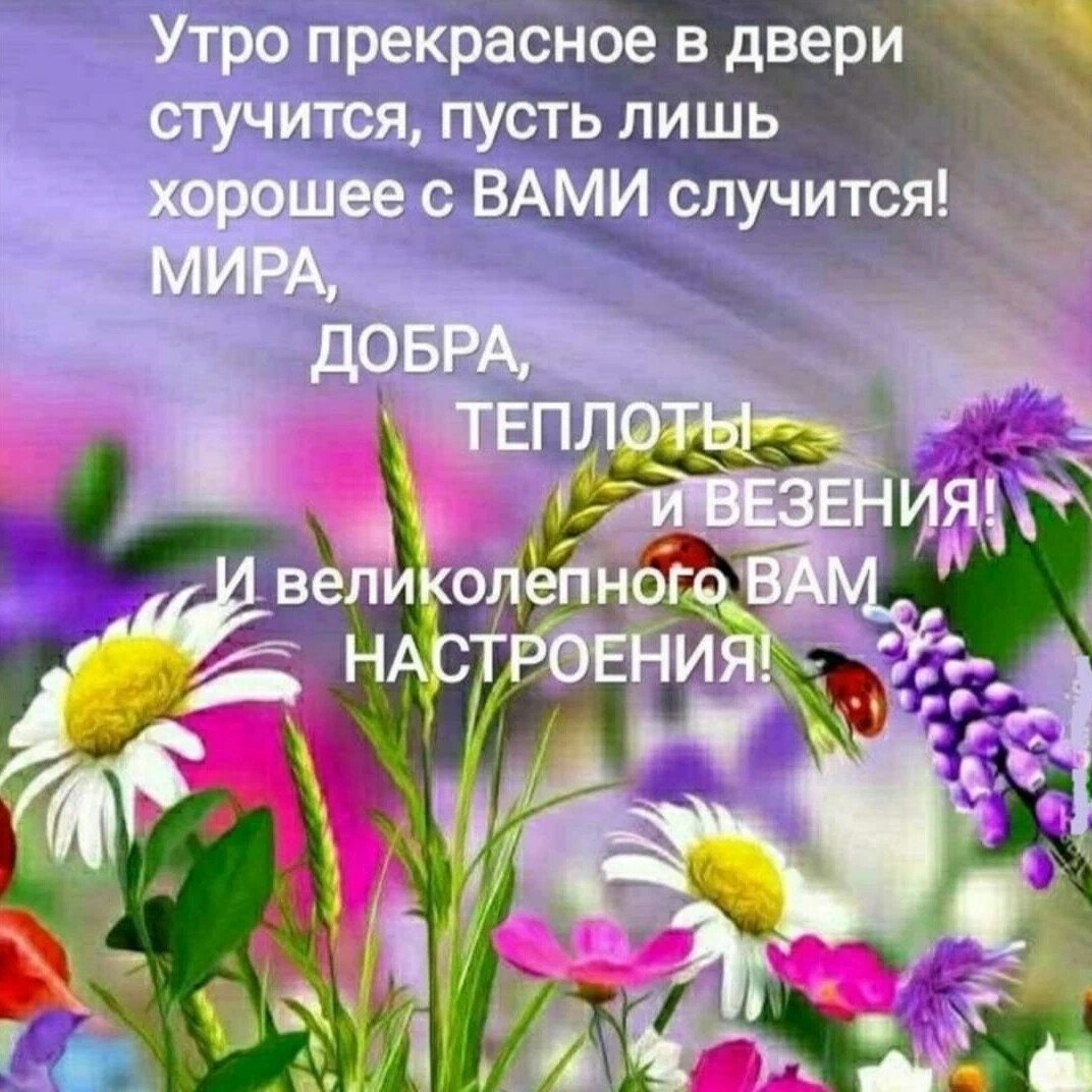 Пусть добро. Утро прекрасное в двери стучится, пусть. Ах лето. Новый день стучится в двери. Утро доброе стучится.