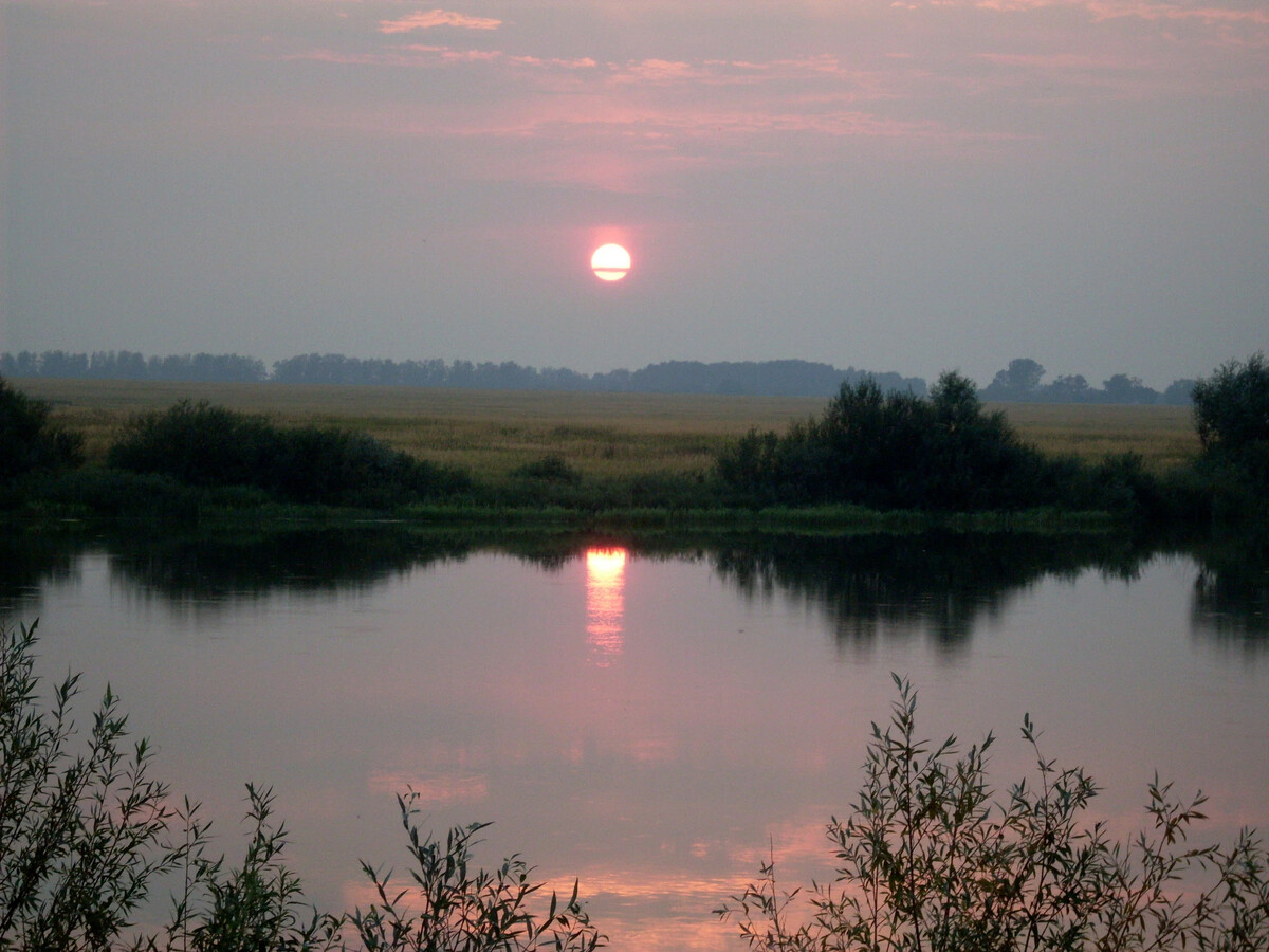 Летний закат в Рязанской области